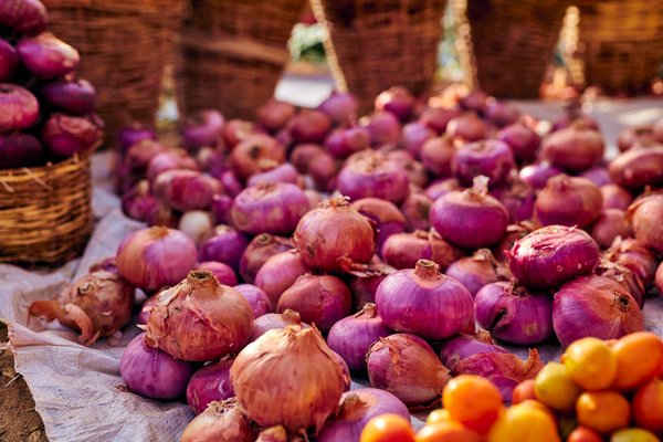 Découvrez les avantages essentiels des ciseaux de cuisine en acier inoxydable